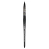 Casaneo 498 Wash Brush smoth.4