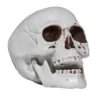 Dödskalle av plast för halloween-dekoration. Storlek ca 10×10×10 cm