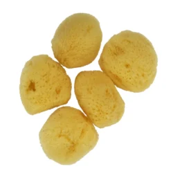 Kreatima natursvamp målarsvamp för akvareller och målning, 5-pack små