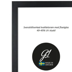 Ram 2E svart 29,7x42cm A3