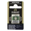 Rembrandt akvarellfärg halvkopp – Hooker Green Deep 645