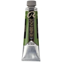 Rembrandt oljefärg 40 ml Sap Green - 623