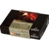 Rembrandt oljefärg start set 6x15 ml