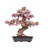 Rolife DIY Wooden 3D-träpussel Sakura bonsaiträd TG415 161×111×170 mm