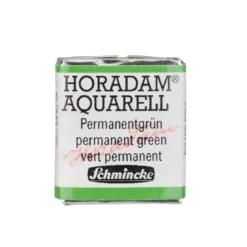 Schmincke Horadam akvarellfärg ½ kopp – Permanent green 526