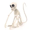 Skelett Apa