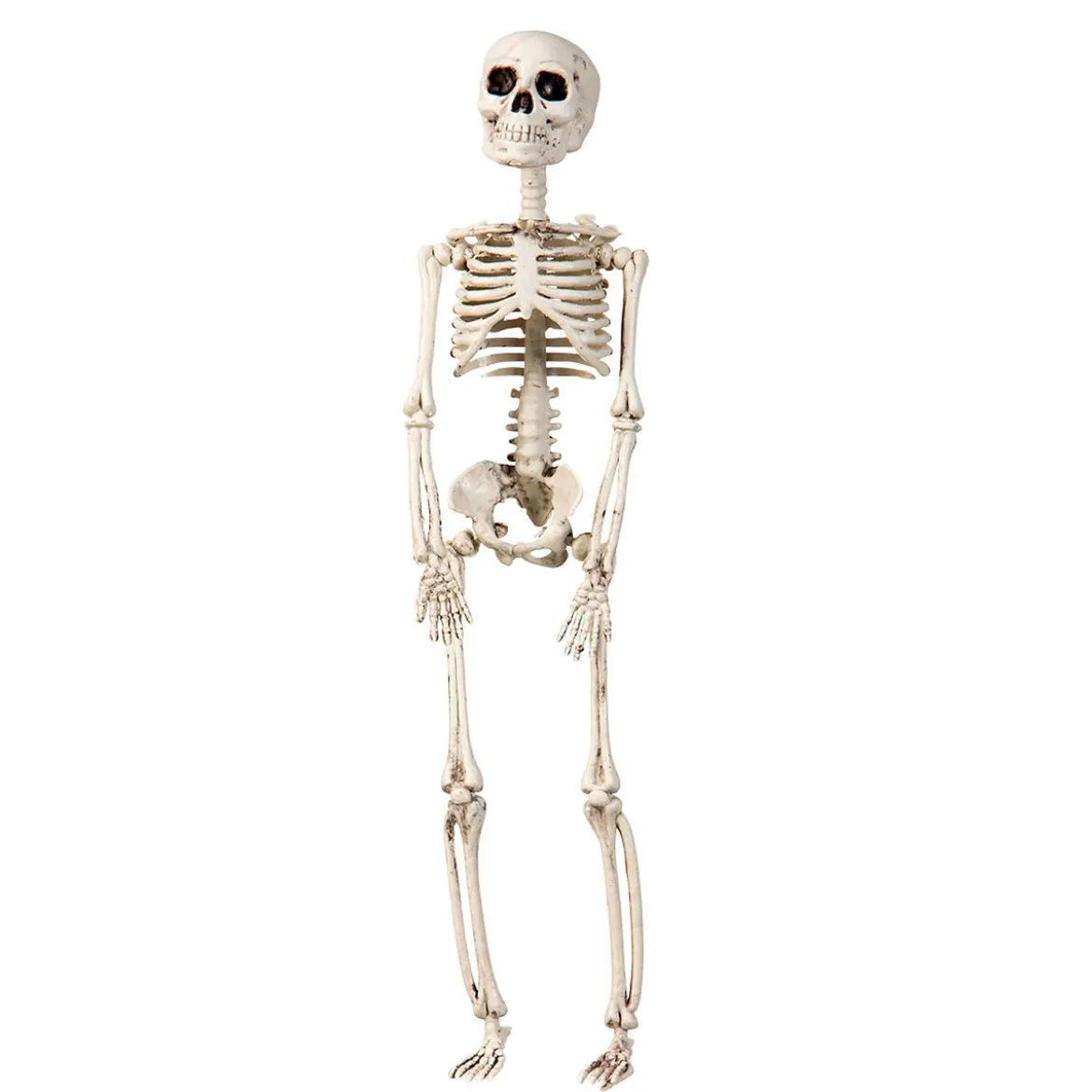 Skelett för halloween – 29 cm högt