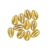 Snäckpärlor guld 12mm 30st