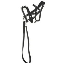 Svart träns, pullarträns till käpphäst & hobby horse