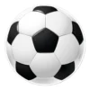Tårtbild fotboll Ø15,5 cm