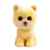 TY Beanie Boo Pomeranian – en gosig liten dvärgspets! H. 15,5 cm