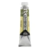 Water col 20ml Green earth