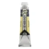 Water col 20ml Payne's gray