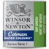 Winsor & Newton Cotman akvarellfärg halvkopp Sap Green 599