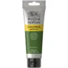 Winsor & Newton Galeria akrylfärg 120 ml Sap Green 599