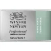 Winsor & Newton Professional akvarellfärg helkopp Terre Verte 637