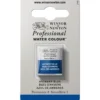 Winsor & Newton Professional akvarellfärg halvkopp Bismouth Yellow 025