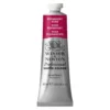 Winsor & Newton Professional akvarellfärg 37 ml Permanent Sap Green 503
